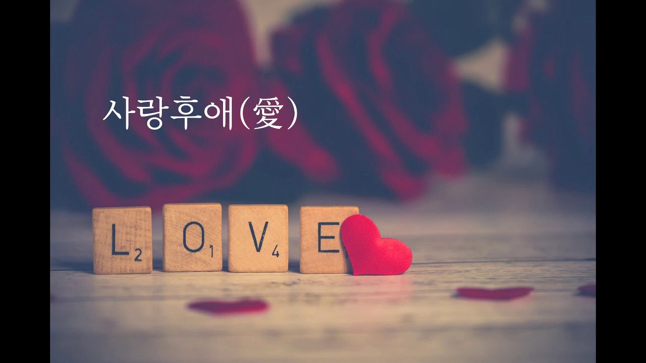 사랑후애 | 안소정 | 작사,곡 전홍민