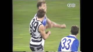 1997 Qualifying Final Geelong VS North Melbourne Wayne Carey ON FIRE