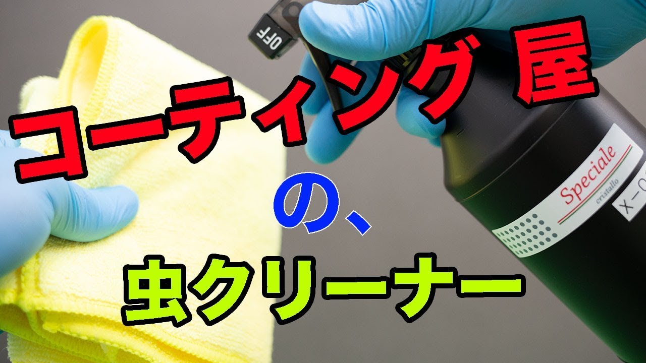車にこびり付いた虫の取り方と事前にできる虫対策 放置は危険 Speciale Mag 車にこびり付いた虫の取り方と事前にできる虫対策 放置は危険 Speciale Mag