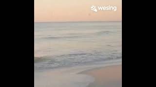 [WeSing App] Evanescence - Solitude Cover/karaoke