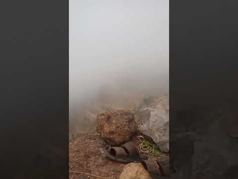 الشيخ محمد الفقيه بالمقام الصنعاني قالوا يا موسى