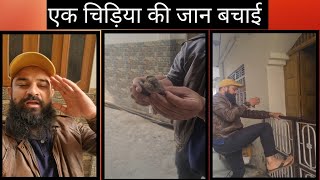 एक चिड़िया की जान बचाई | Save the birds | Shaan Tonk || by Shaan world 111 views 5 months ago 2 minutes, 13 seconds