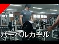 バーベルカールのやり方【上腕二頭筋】