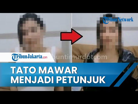 Tato Mawar Menjadi Petunjuk Pemeran Video Syur Wanita yang Mirip Nagita Slavina