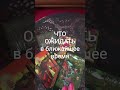9 мая 2026 г.