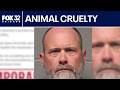 Chicago dog daycare owner charged with animal torture, records show
