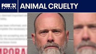 Chicago dog daycare owner charged with animal torture, records show
