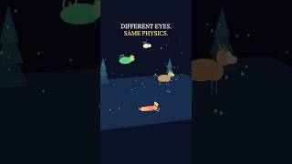 Same Light, Three Animals, Three Completely Different Worlds #Shorts #physics #science