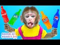 Macaco Rio come Coca ou Fanta ou Pepsi Honey Jelly e vai comprar doces M&M | Animal Monkey Rio