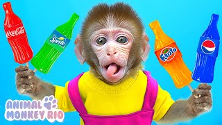 Monkey Rio eat Coca or Fanta or Pepsi Honey Jelly and go shopping M&M Candy | Animal Monkey Rio