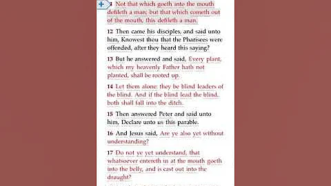 Understanding Matt 15:11