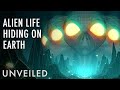 Exploring Alien Hideouts in Earth's Polar Regions
