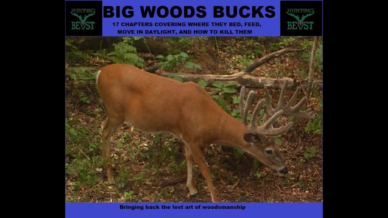 Big Woods Bucks Online Store, Apparel, Books & Videos