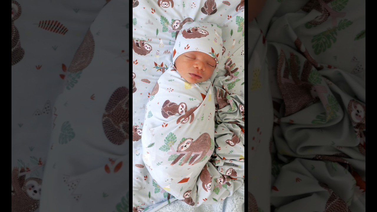 Who remembers our old friend the sloth? Meet Sylas 🦥•Sylas & his new friends launch 10/16 at 8AM PT