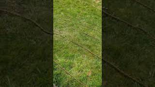 Day 4 Part 1 Basic Map Reading and Navigation. Contours