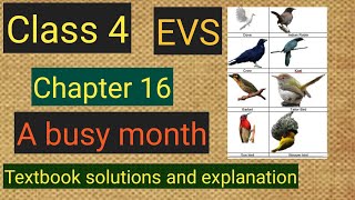 #studytime Class 4/EVS/Chapter 16/A busy month/Textbook solutions and explanation