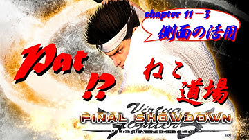 VF5FS:  Throws against a Sideturned Opponent