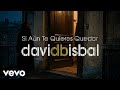 David Bisbal - Si Aún Te Quieres Quedar (Lyric Video)
