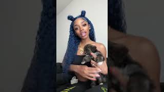 @amb byrd 13X4 Blue 26inch Curly Eullair Dark Blue Still Saly Top