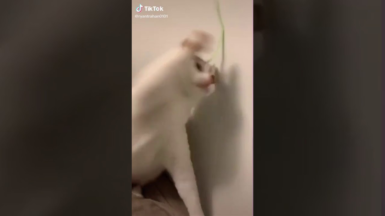 we're talking Teletubbies - YouTube