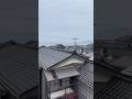Por qué no me quiero ir del Japón rural 🇯🇵