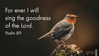 The 13th Sunday in Ordinary Time