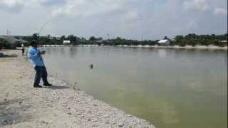 SkyRod Series - Catfish 15 kg