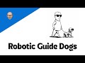 Robotic Guide Dogs
