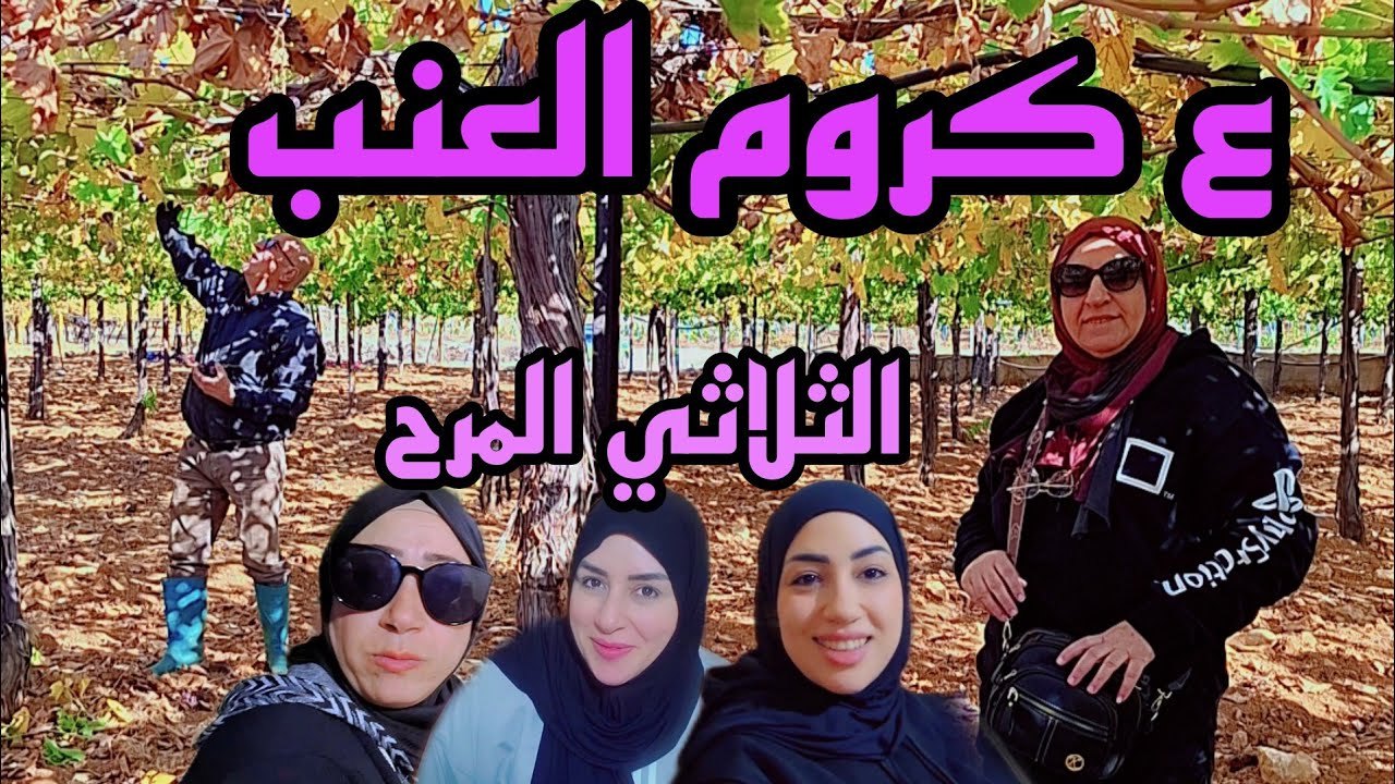 أجمل تجربة بالطبيعة🌿وسهرة ضحك جزء 1 مع الثلاثي المرح🤣