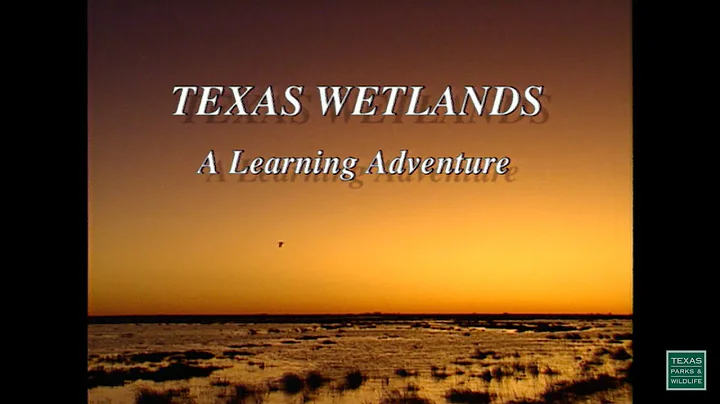 Texas Wetlands: A Learning Adventure - 1994