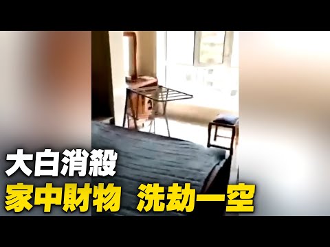 上海，密接从方舱回来后，家里东西都没有了，钱也没有了，冰箱食物没有了，找社区，社区不管。【 #大陆民生 】