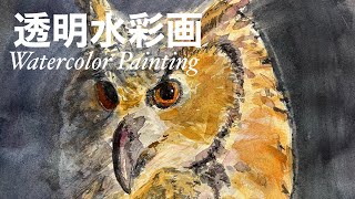 秋山巌・水彩画・フクロウ、色紙画 秋山巌とふくろうの絵 | 秋山巌の美術館 【公式】/ Akiyamaiwao Art