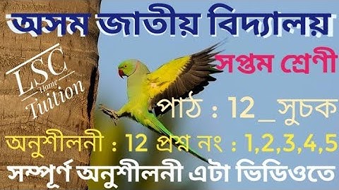 Class 7 Maths Ex : 12 || Q.No. 1,2,3,4,5, Solution In  Assam Jatiya Vidyalaya Class 7 Chapter 12 All