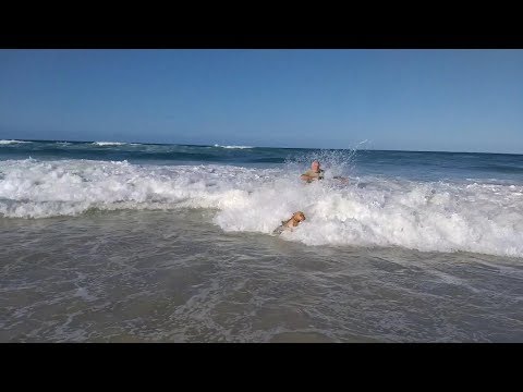 Body Surfing dog 1st ever Fetches