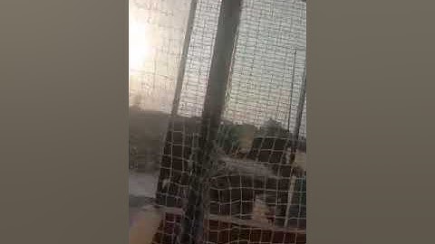 Terrace Garden Bird Netting with zip option