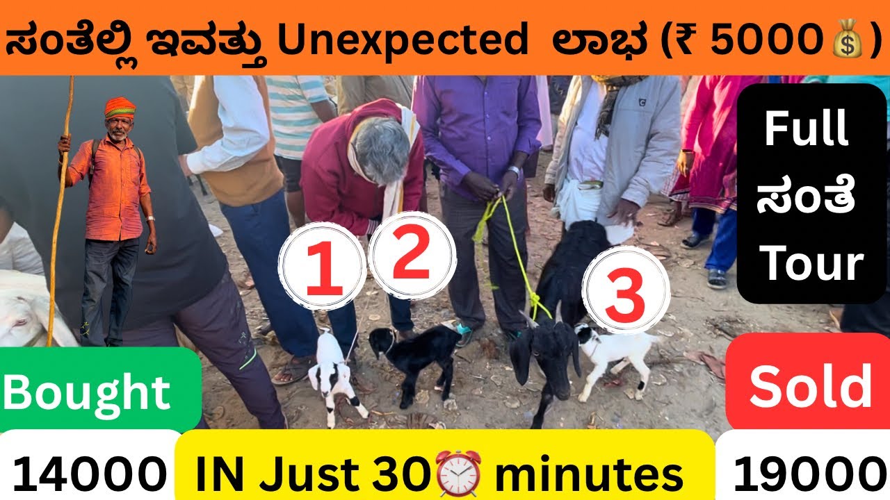 Bought and Sold in ಸoತೆ 🐐₹ 5000/-  ಲಾಭ💰😍 | Full Santhe Tour in Bangalore local Animal market | 