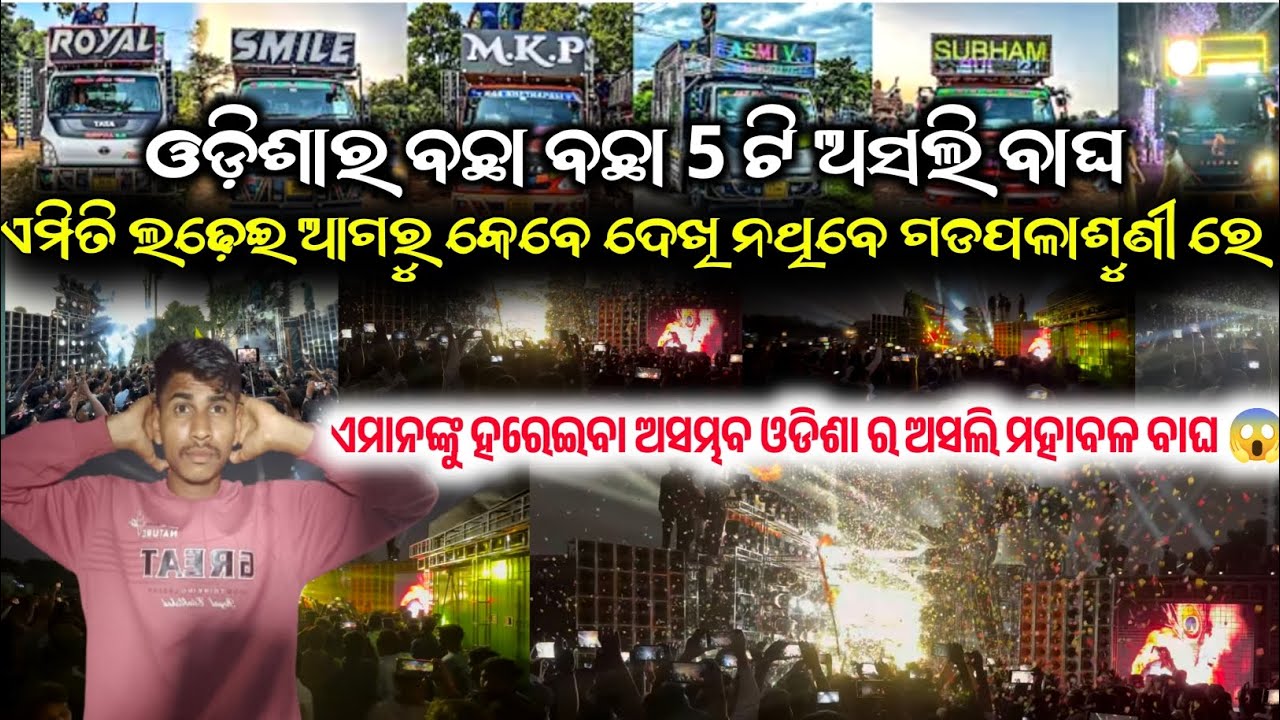 ଓଡ଼ିଶାର ବଛା ବଛା 5 ଟି ଅସଲି ବାଘ 🔥ଏମାନଙ୍କୁ ହରେଇବା ଅସମ୍ଭବ ଓଡିଶା ର ଅସଲି ମହାବଳ ବାଘ 😱 #mrbmvlog #dj 