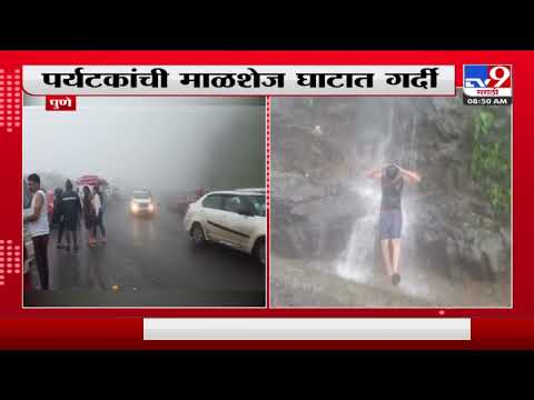 Malshej Ghat | माळशेज घाट धुक्यात हरवला, पर्यटकांची घाटात गर्दी-TV9