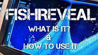 Lowrance FishReveal - How to use it
