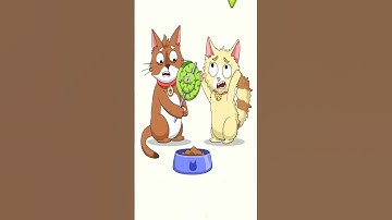 DOP 5 SCARE THE CAT 🐱🐱 // #viral #dop2 #dop5 #dop #dop3 #dop4 #shorts #shortsfeed #viralvideos