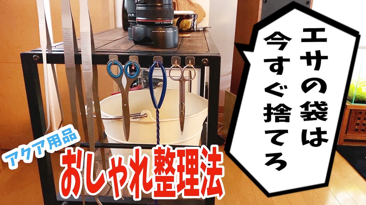 中古アクア用品　断捨離します。 断捨離してわかった 本当に必要なアクア用品とおしゃれな見せ方