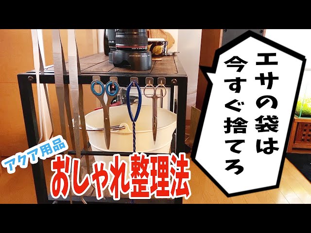 断捨離してわかった 本当に必要なアクア用品とおしゃれな見せ方