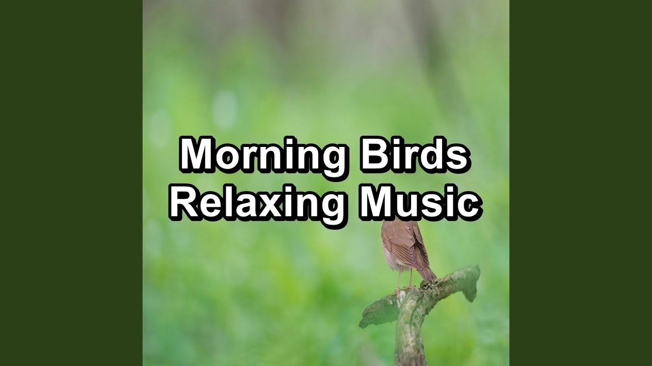 Relaxing Bird Sounds Stress Relief To Loop for 10 Hours - YouTube