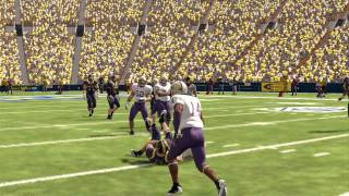 Husky Kalei Aulelua Virtual Highlights