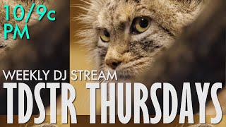 edm dj set (live, april 24, 2025)