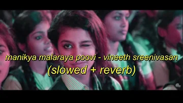 manikya malaraya poovi - vineeth sreenivasan ( slowed + reverb )