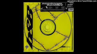 Post Malone - Spoil My Night