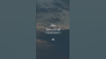 🌟 آية قصيرة من سورة النور | تلاوة هادئة | طارق محمد