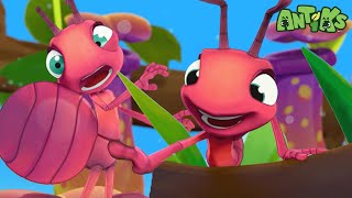 There She Blows | 😄🐜| Antiks Adventures - Joey and Boo's Playtime by Antiks Adventures - Joey and Boo's Playtime 4,978 views 16 hours ago 45 minutes