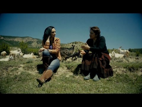 3 ივლისს, 12:45 საათზე - \"ფერმა\"